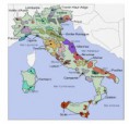 /album/photogallery/wsb-368x357-vignoble-italie-jpg/