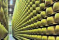 /album/photogallery/parmigiano-stock-1jpg-jpg/
